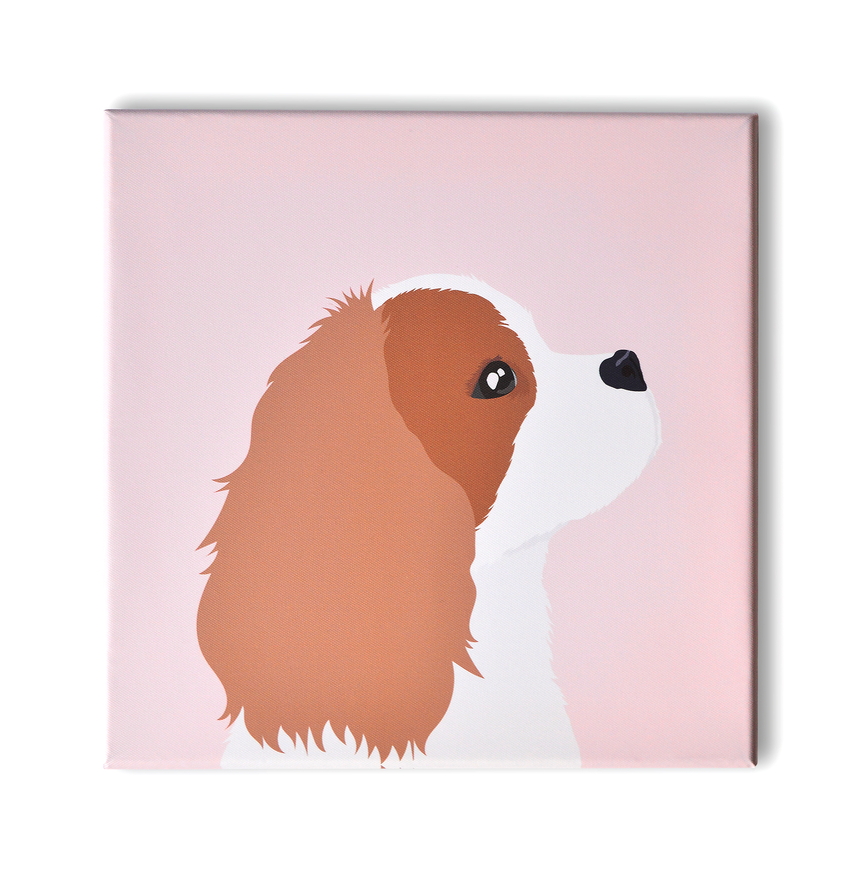 Obraz Grafika Płótno Cavalier Blenheim profil