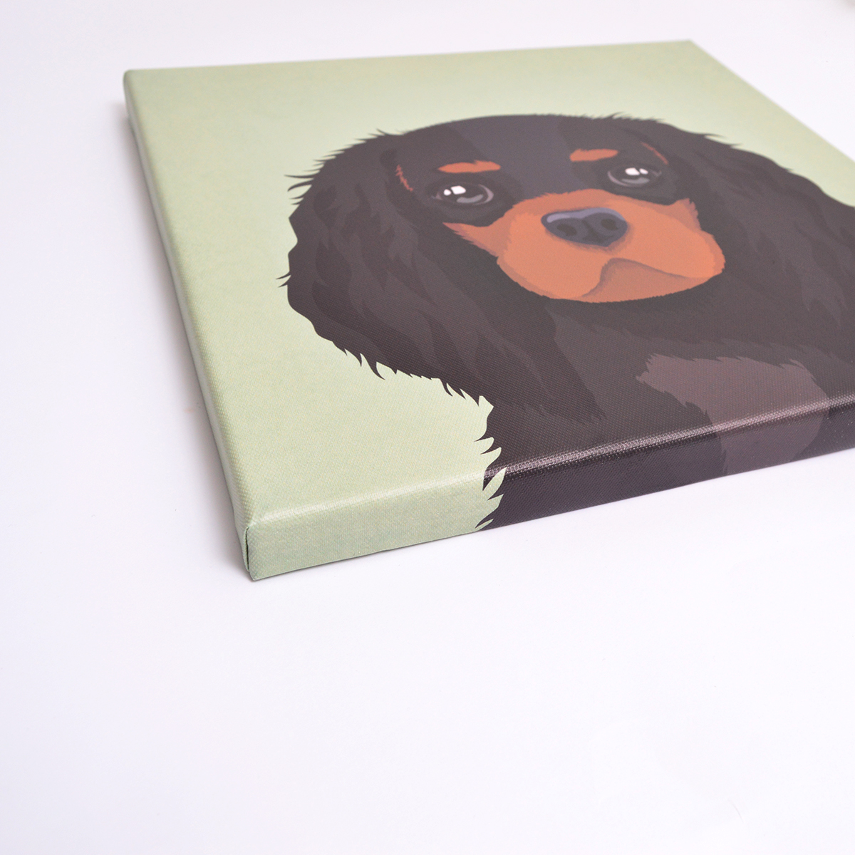 Obraz - grafika drukowana na płótnie, Cavalier King Charles Spaniel Black and Tan